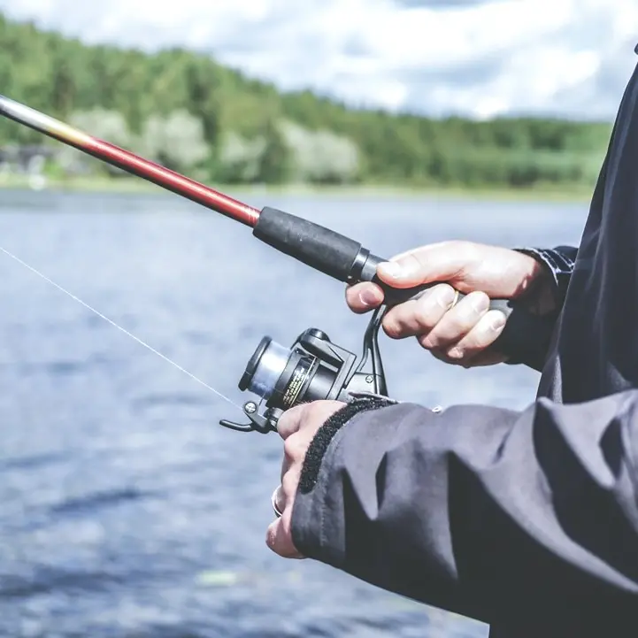 Ripartono caccia e pesca in Calabria, nuova ordinanza della Regione
