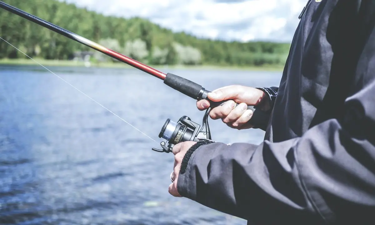 Ripartono caccia e pesca in Calabria, nuova ordinanza della Regione