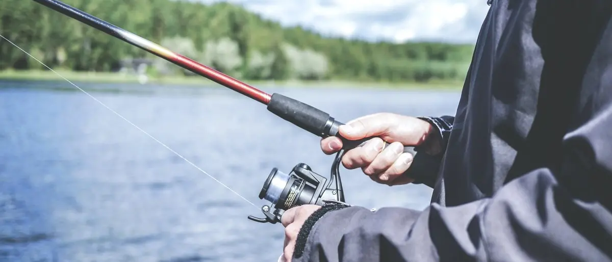 Ripartono caccia e pesca in Calabria, nuova ordinanza della Regione