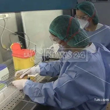 Covid, la Regione prima cerca laboratori privati per i tamponi e poi ferma tutto