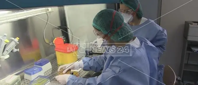 Covid, la Regione prima cerca laboratori privati per i tamponi e poi ferma tutto