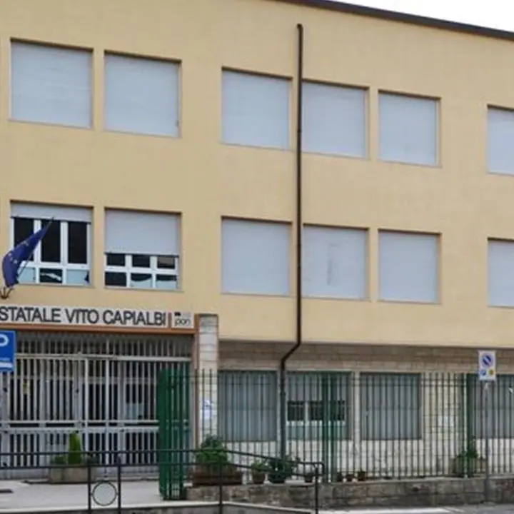 Coronavirus Vibo Valentia, scuole ancora chiuse: l'ordinanza del sindaco