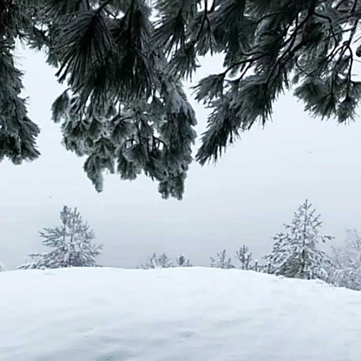 Torna la neve in Sila, il panorama imbiancato è da favola: video