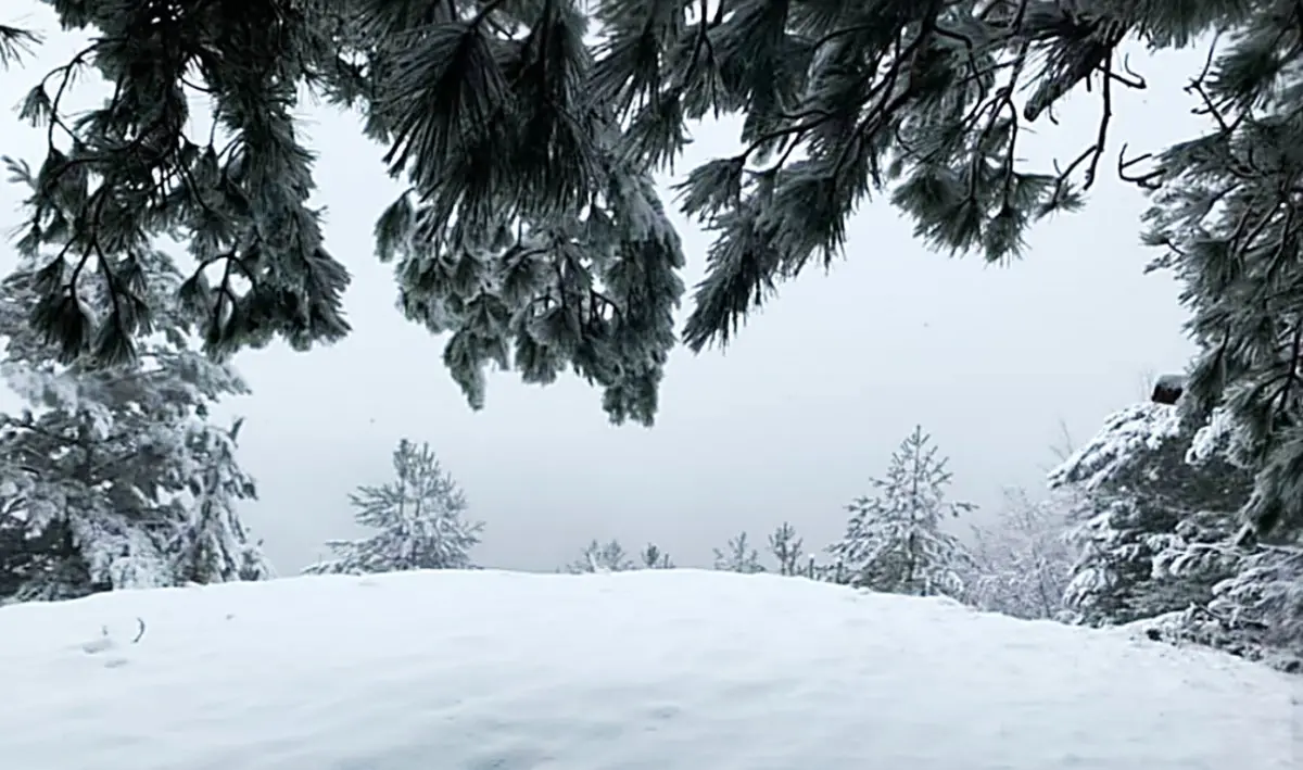 Torna la neve in Sila, il panorama imbiancato è da favola: video