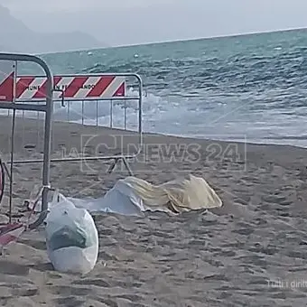 Scheletro di San Ferdinando, atti da Palmi a Palermo: è Vito Lo Iacono?