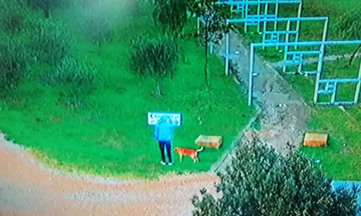Crotone, vandali in azione a Parco Pitagora