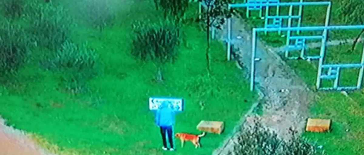 Crotone, vandali in azione a Parco Pitagora