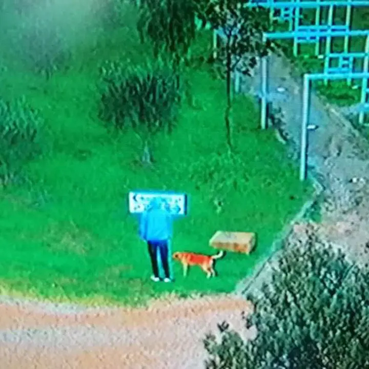 Atti vandalici nei giardini Pitagora di Crotone: nei guai un ragazzino