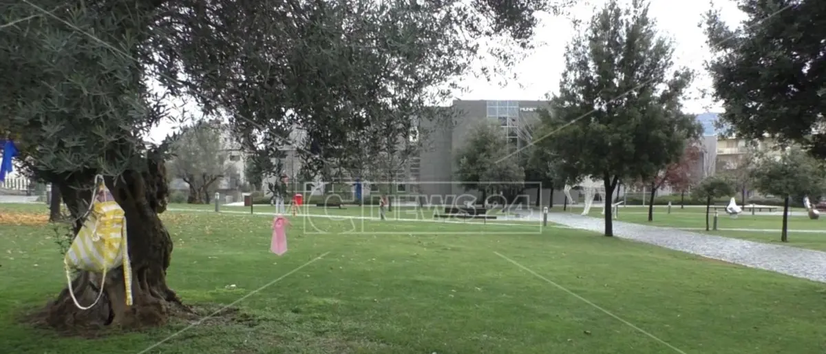 Scuole chiuse a Rende, il Tar annulla l'ordinanza del Comune