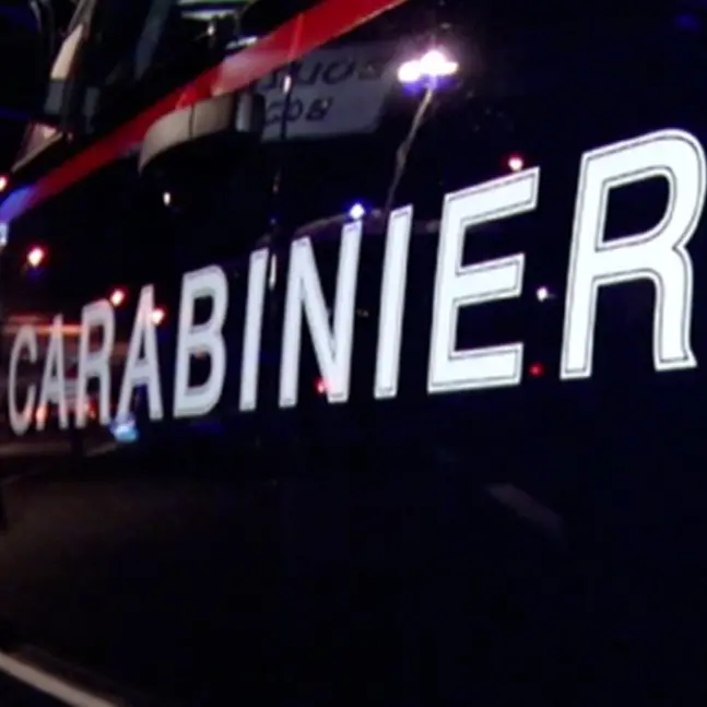 Coltivavano marjuana nelle colline di Reggio Emilia: arrestati 2 calabresi