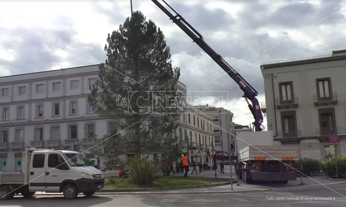 Crotone, arrivati i due alberi di Natale: «Siano segno di speranza»