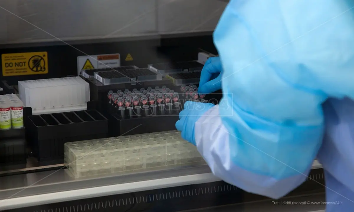 Sì ai laboratori privati per processare i tamponi, la Regione pronta ad adottare l'ordinanza