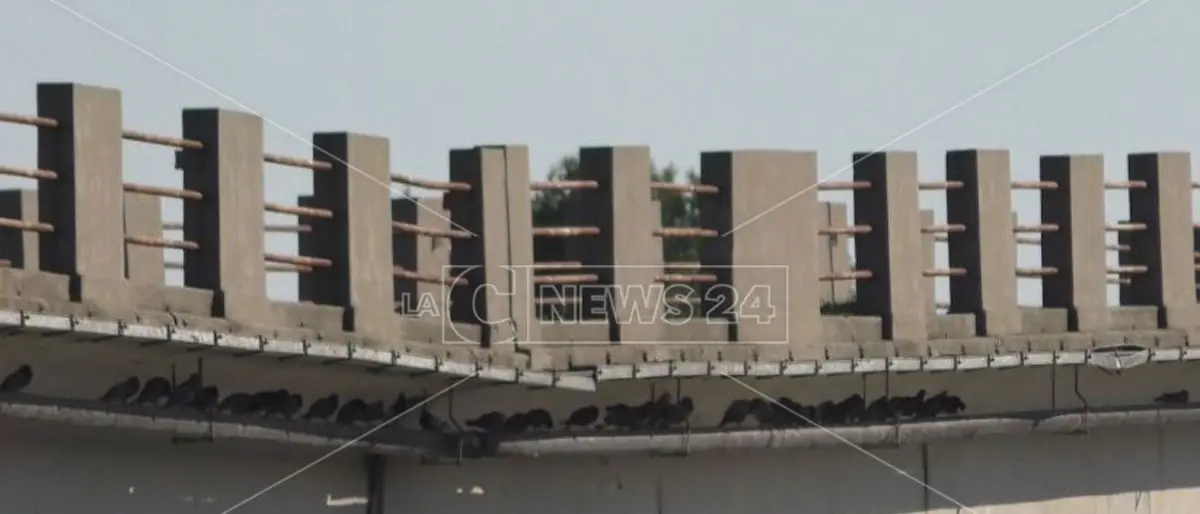 La 106 e le altre incompiute nel Crotonese, i sindacati: «Serve mobilità veloce e sicura»