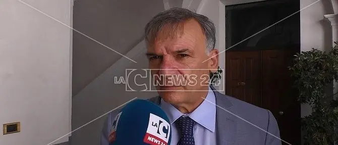 Inchiesta Farmabusiness, torna in libertà Domenico Tallini