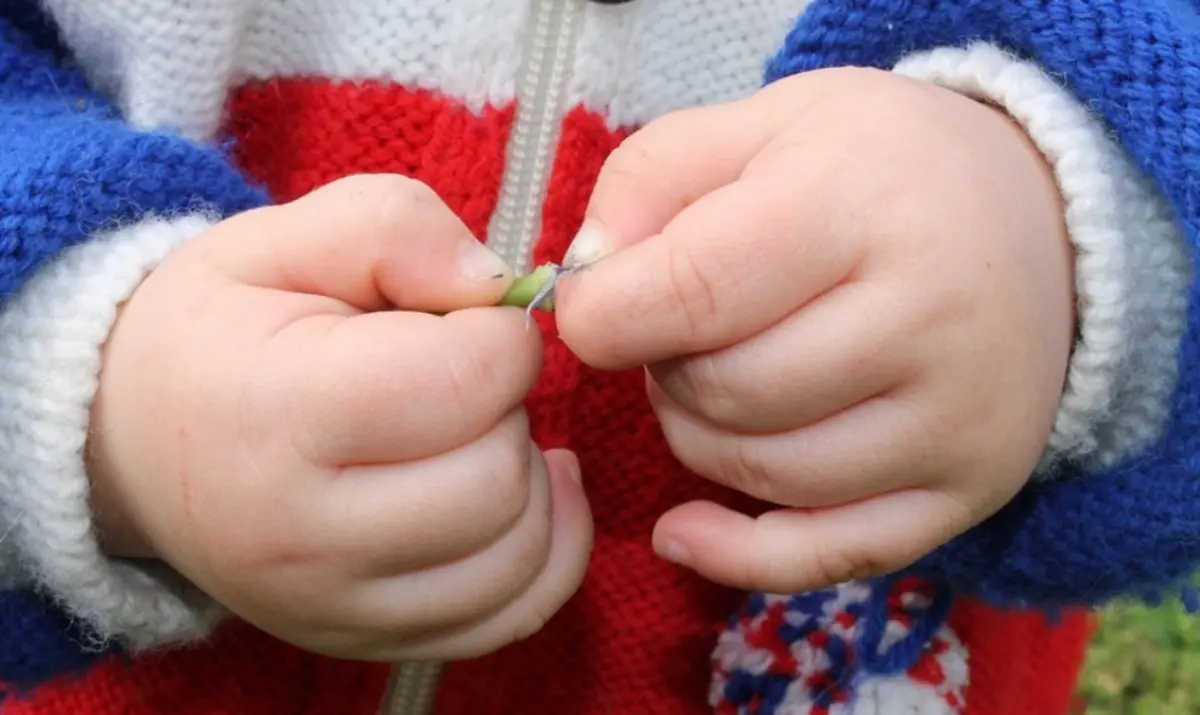 Natale a Crotone, al via raccolta solidale di prodotti per l’infanzia