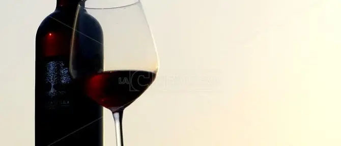 Vino, il Bivongi Doc alla conquista dei mercati asiatici