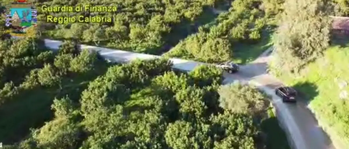 Lavoratori in nero ma con reddito di cittadinanza scoperti nel Reggino