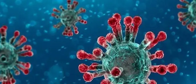 La variante inglese della Sars-Cov-2 e l'importanza dei vaccini