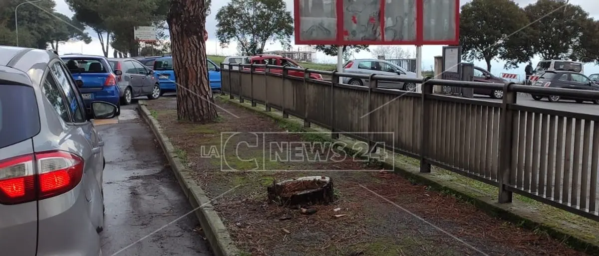 Coronavirus, a Vibo Valentia ore di coda in auto per fare il tampone dopo il rientro in Calabria