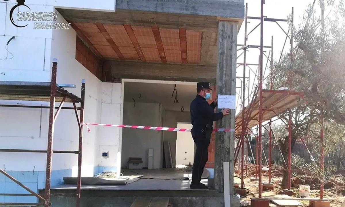 Bisignano, ulivi estirpati per costruire una villa con piscina: sequestro e multa da 10mila euro