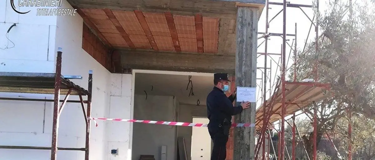 Bisignano, ulivi estirpati per costruire una villa con piscina: sequestro e multa da 10mila euro