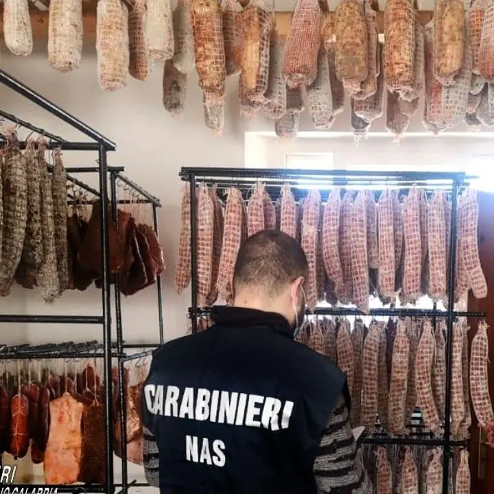 Maxi sequestro di salumi e carne nel Reggino: denunciate 2 persone