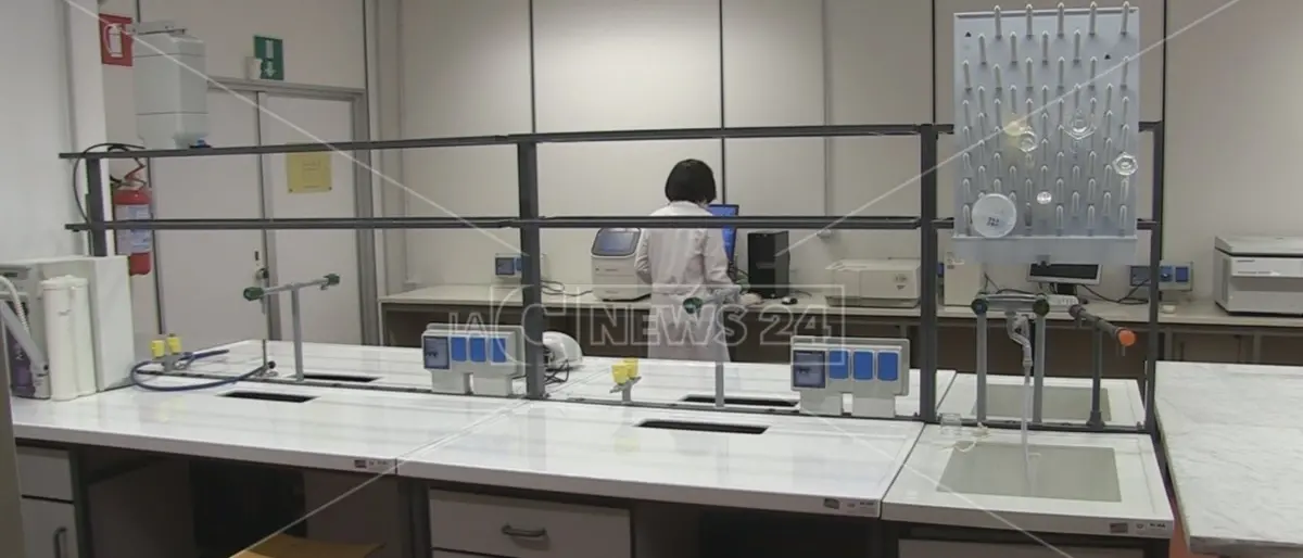 Covid, presto in funzione all’Unical il laboratorio molecolare