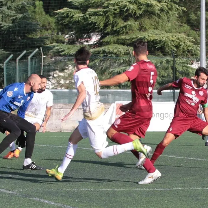 Campionato di Eccellenza: i record della Reggiomed e i gol di Zampaglione