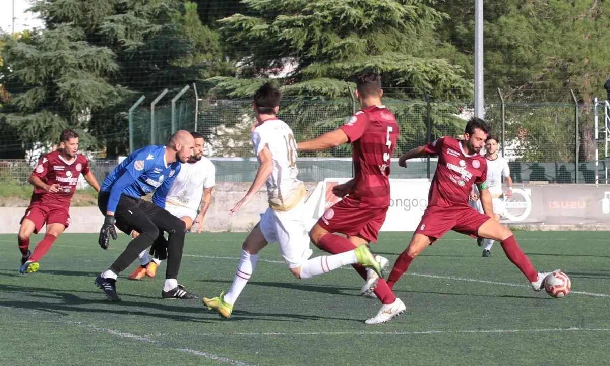 Campionato di Eccellenza: i record della Reggiomed e i gol di Zampaglione