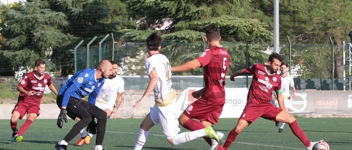 Campionato di Eccellenza: i record della Reggiomed e i gol di Zampaglione
