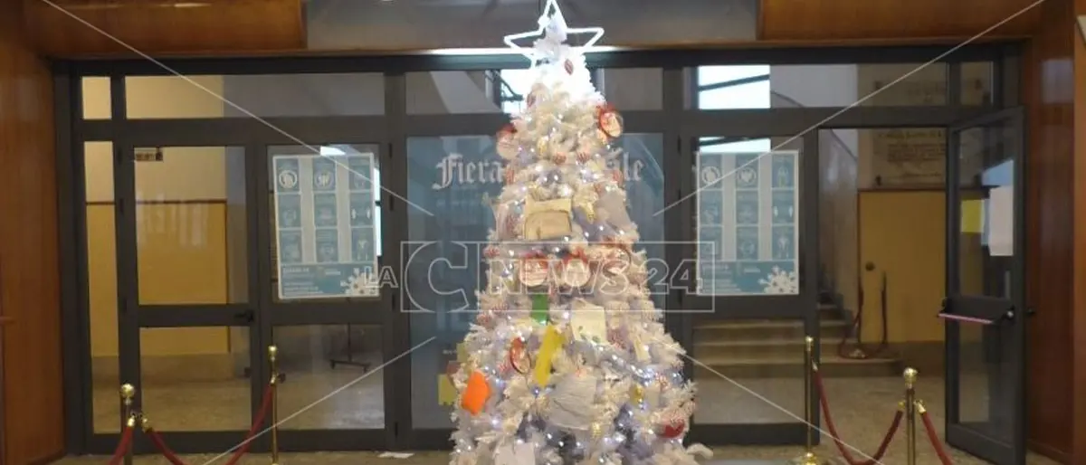 Crotone, le lettere dei bambini al sindaco Voce: «Per il 2021 vorrei…»