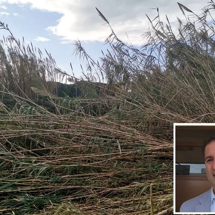 Lamezia, torrente Cantagalli a rischio esondazione: «Si intervenga subito»