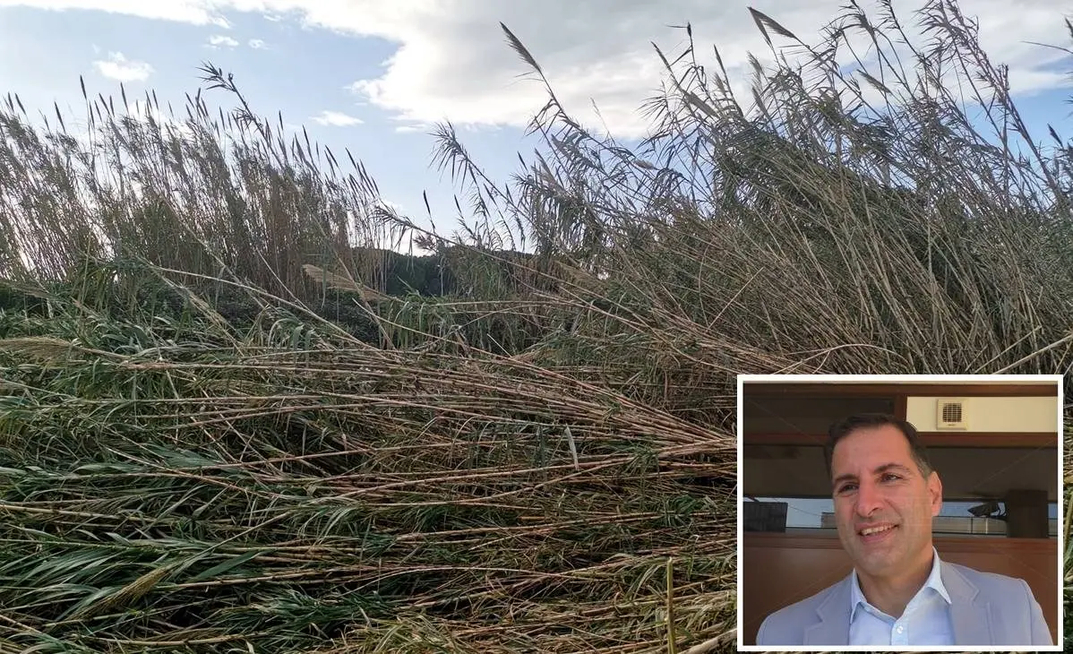 Lamezia, torrente Cantagalli a rischio esondazione: «Si intervenga subito»