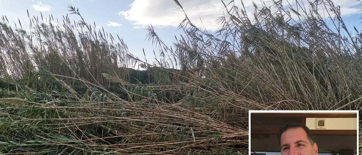 Lamezia, torrente Cantagalli a rischio esondazione: «Si intervenga subito»