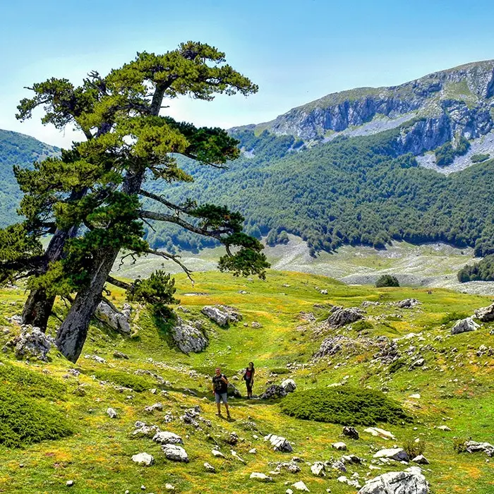 Pollino: Vacchiano nuovo coordinatore della Guide ufficiali del Parco