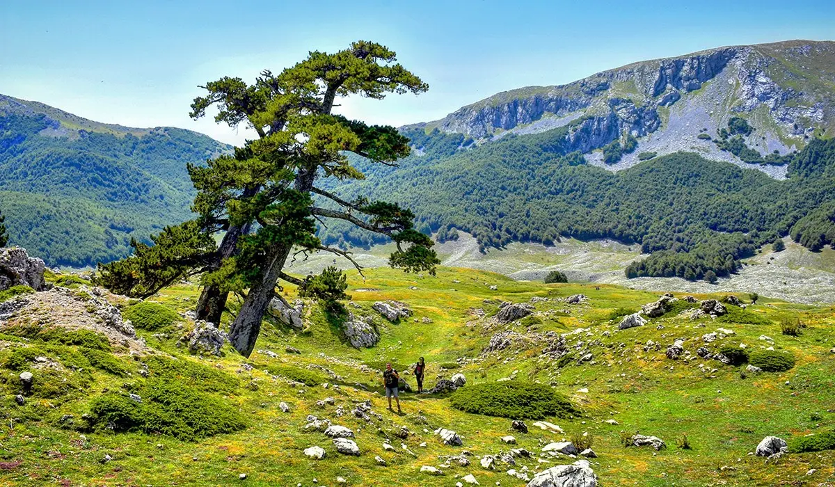 Pollino: Vacchiano nuovo coordinatore della Guide ufficiali del Parco