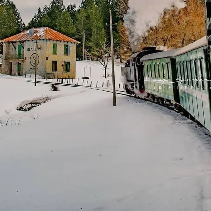 «La linea Cosenza-Catanzaro Lido e la tratta silana vanno ripristinate. Le risorse ci sono»