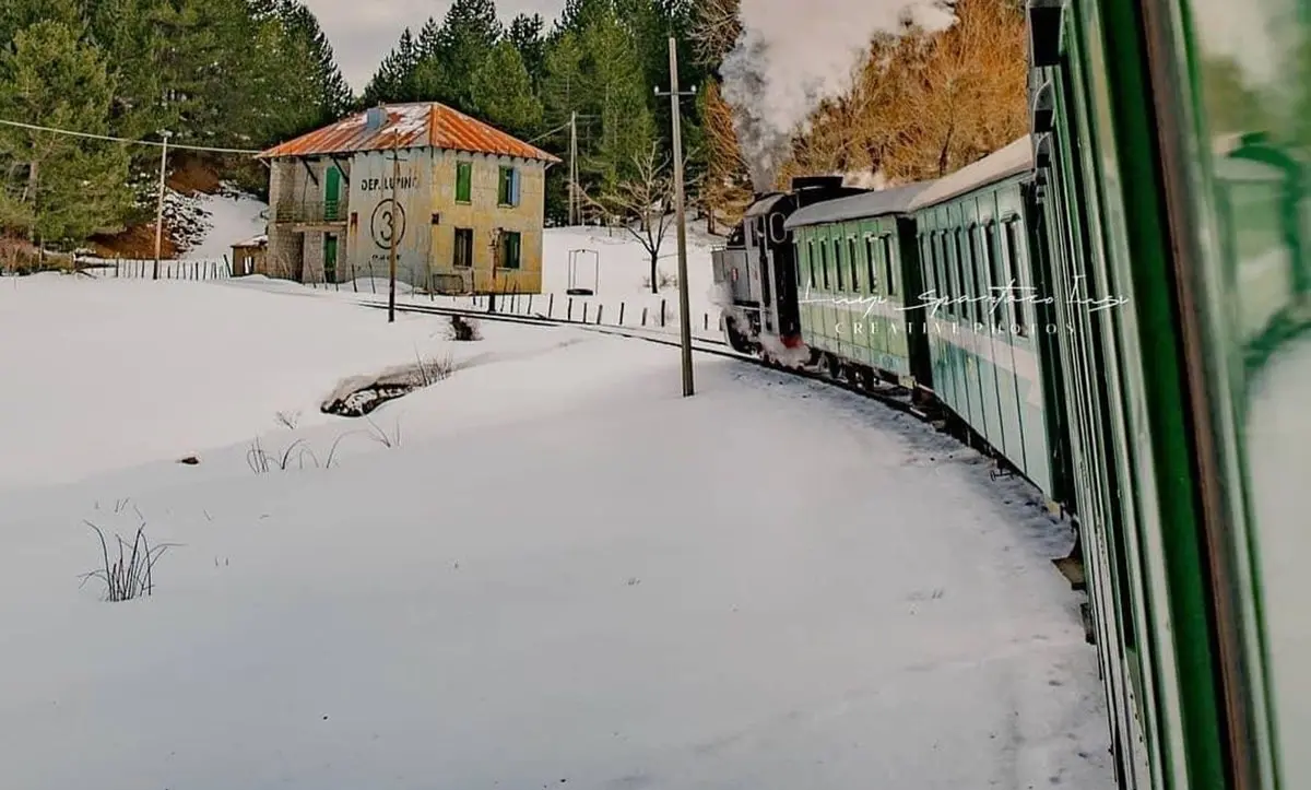 «La linea Cosenza-Catanzaro Lido e la tratta silana vanno ripristinate. Le risorse ci sono»