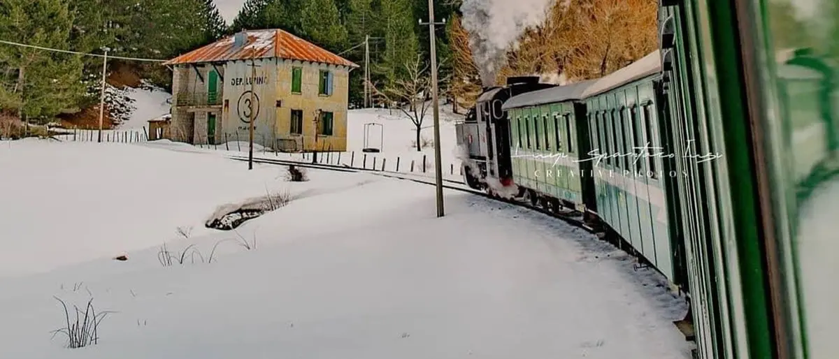 «La linea Cosenza-Catanzaro Lido e la tratta silana vanno ripristinate. Le risorse ci sono»