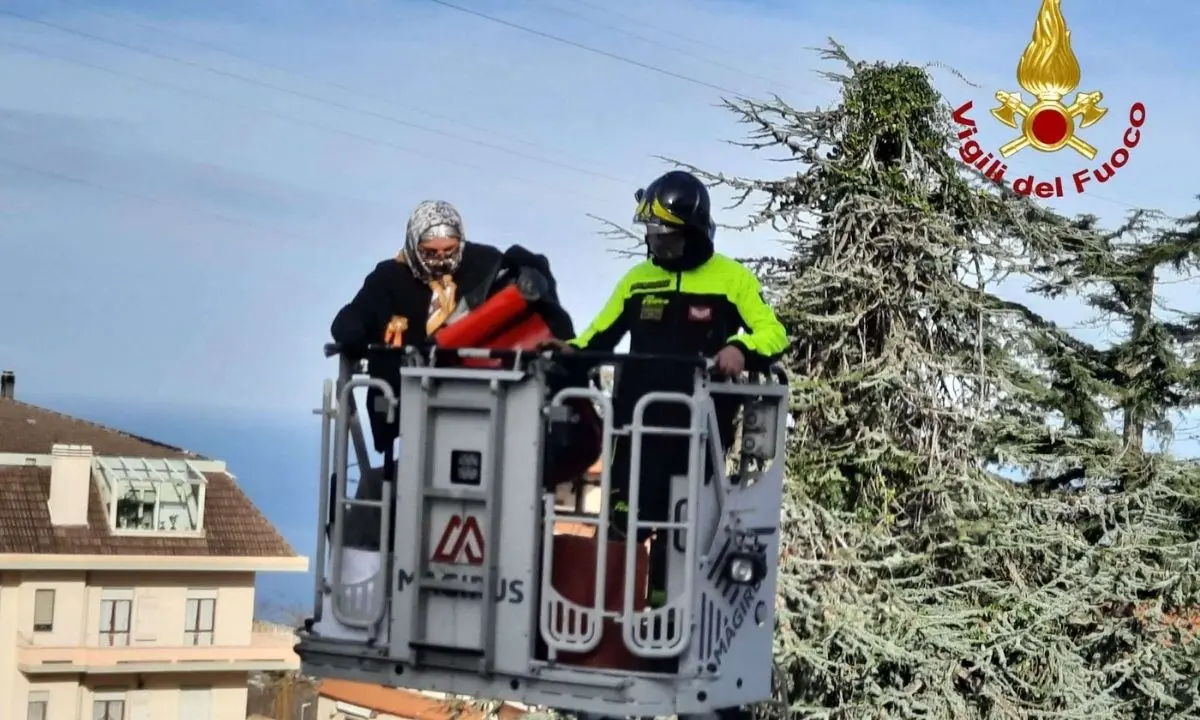 Vibo Valentia, la Befana arriva in Pediatria con l'autoscala dei vigili del fuoco