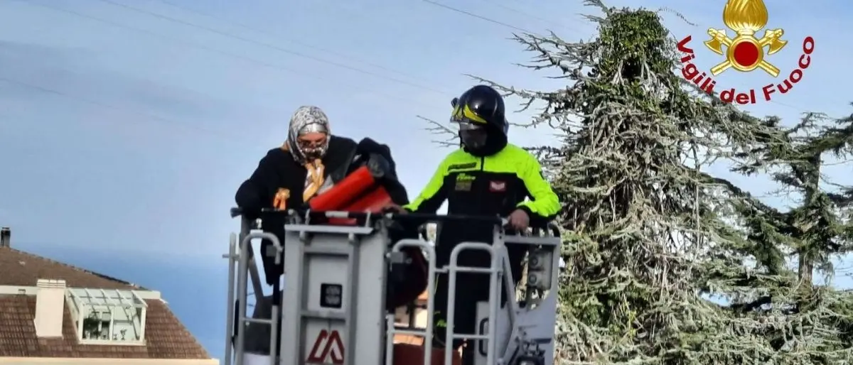 Vibo Valentia, la Befana arriva in Pediatria con l'autoscala dei vigili del fuoco