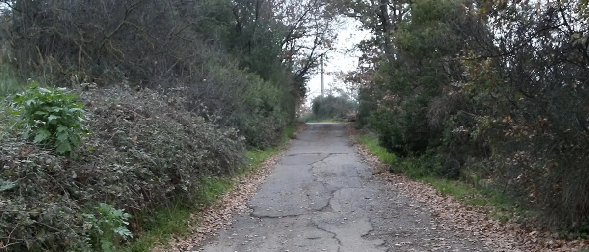 Castrovillari, strade rurali: parte il progetto per la messa in sicurezza