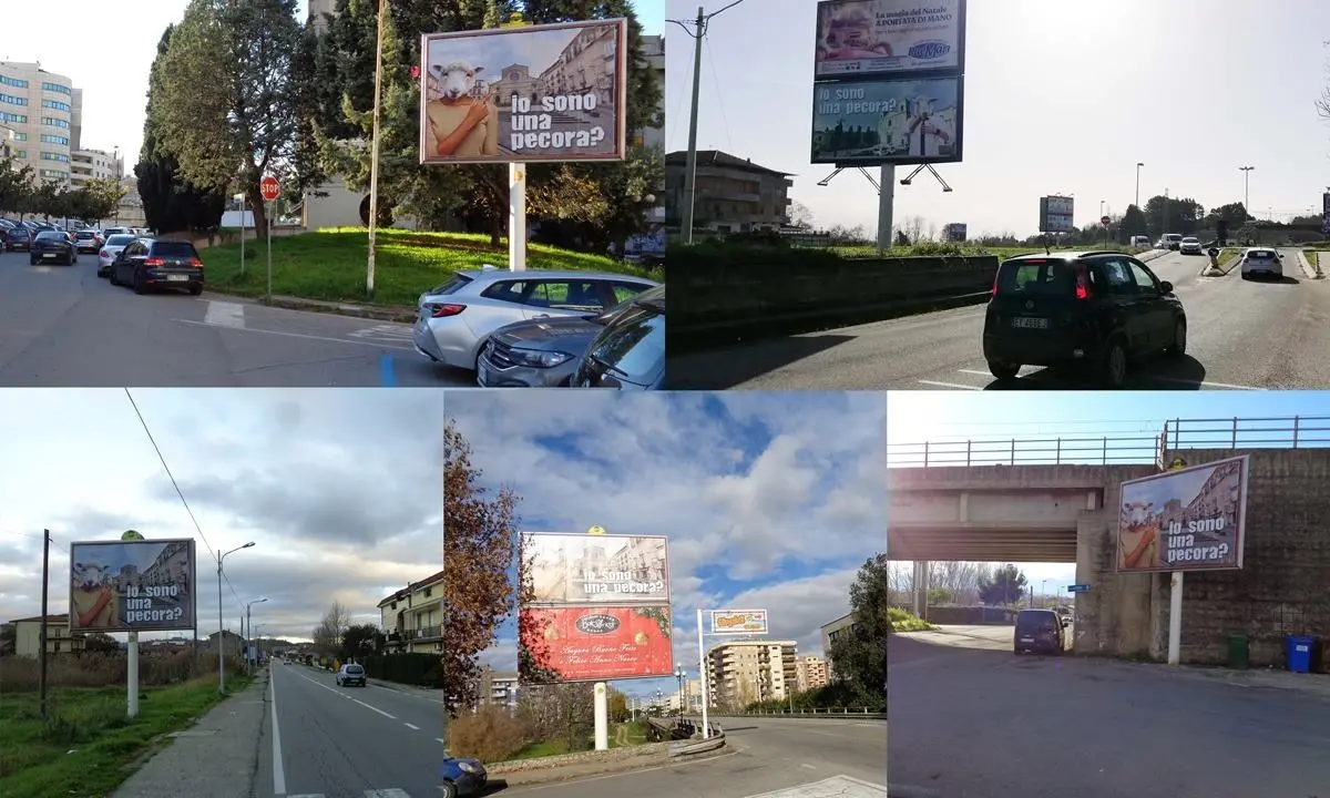 “Io sono una pecora?”: torna la misteriosa campagna che dà la sveglia alla Calabria