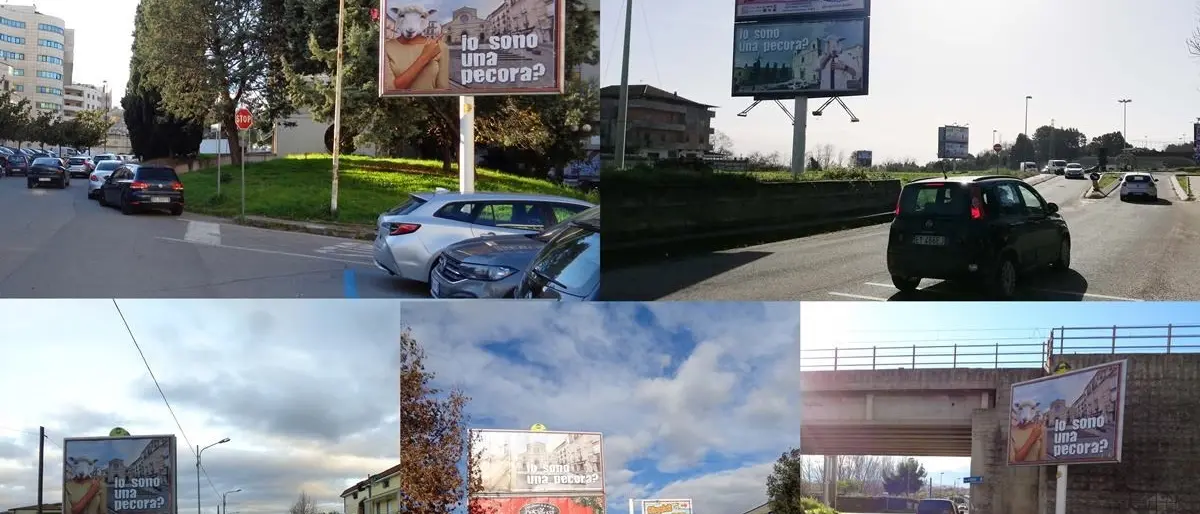 “Io sono una pecora?”: torna la misteriosa campagna che dà la sveglia alla Calabria