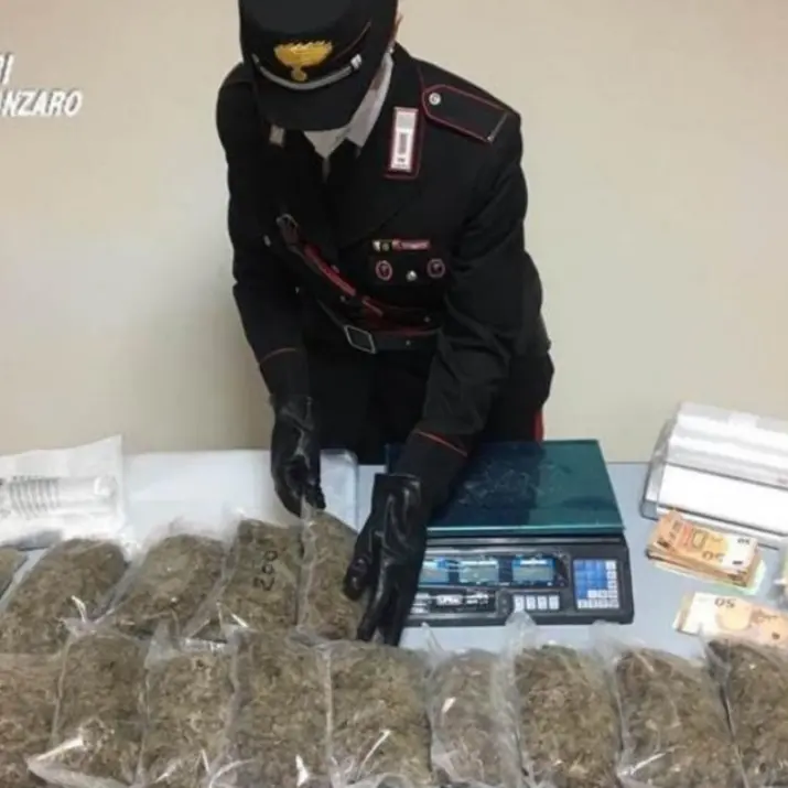 Nasconde marijuana in bidoni sotterrati, arrestato 54enne lametino