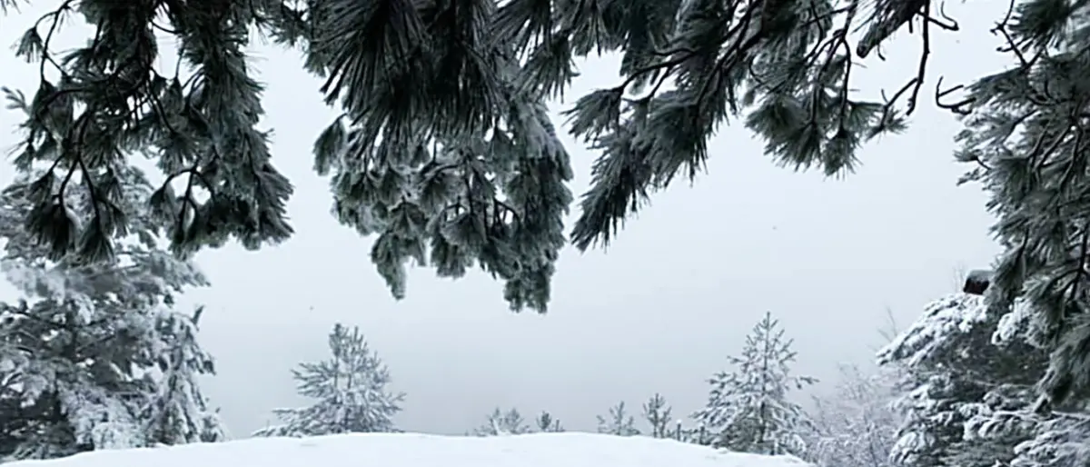 Attesa la neve in Calabria anche a bassa quota: domani freddo polare