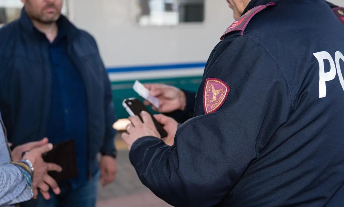 Bovini vaganti sui binari, un pastore di Crotone deferito dalla Polfer