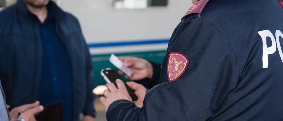 Bovini vaganti sui binari, un pastore di Crotone deferito dalla Polfer