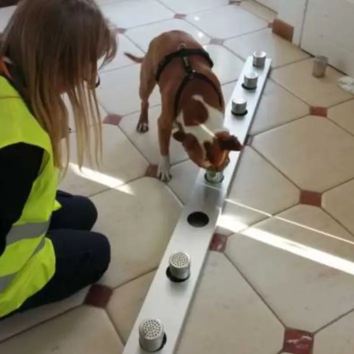 Cani anti-Covid all’aeroporto di Cuneo: con il fiuto potranno identificare i positivi