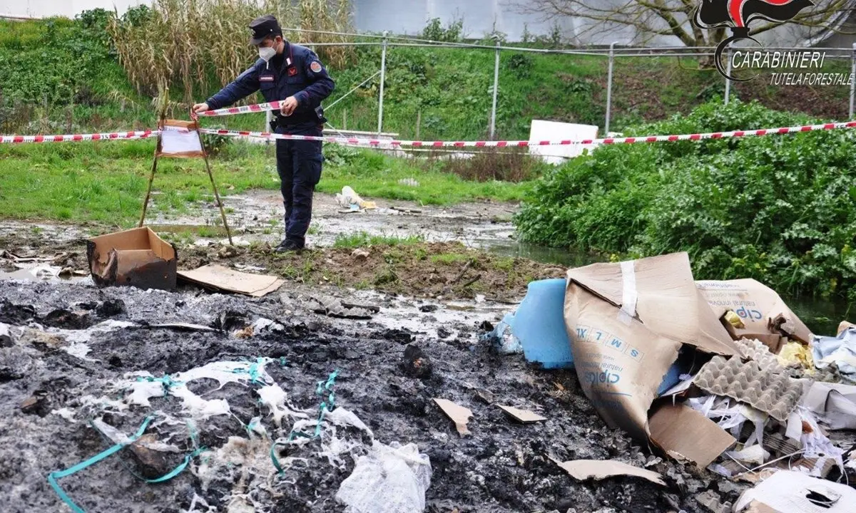 Cosenza, sequestrata azienda avicola: deferiti i due amministratori